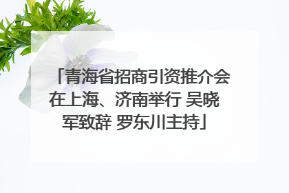 青海省招商引资推介会在上海、济南举行 吴晓军致辞 罗东川主持