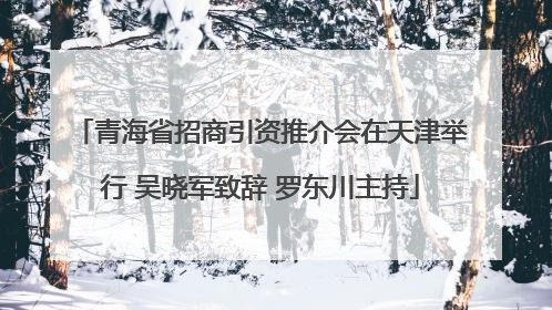 青海省招商引资推介会在天津举行 吴晓军致辞 罗东川主持