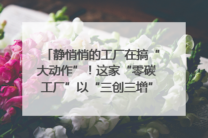 静悄悄的工厂在搞“大动作”！这家“零碳工厂”以“三创三增”探索共富新路径｜网络名人四川行
