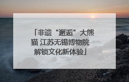 非遗“邂逅”大熊猫 江苏无锡博物院解锁文化新体验