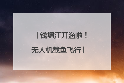 钱塘江开渔啦！无人机载鱼飞行
