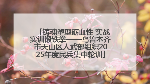铸魂塑型砺血性 实战实训锻铁拳——乌鲁木齐市天山区人武部组织2025年度民兵集中轮训