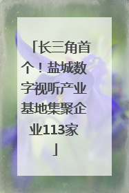 长三角首个！盐城数字视听产业基地集聚企业113家