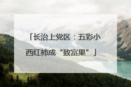 长治上党区：五彩小西红柿成“致富果”