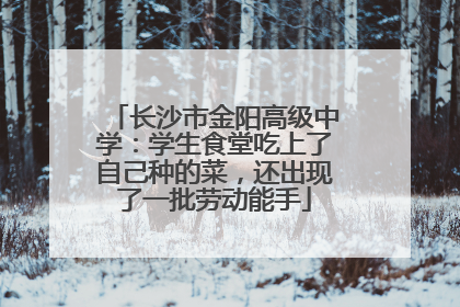 长沙市金阳高级中学：学生食堂吃上了自己种的菜，还出现了一批劳动能手