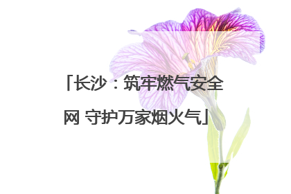 长沙：筑牢燃气安全网 守护万家烟火气