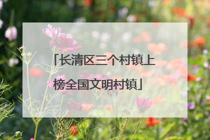 长清区三个村镇上榜全国文明村镇