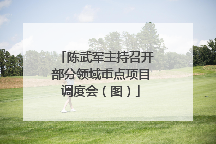 陈武军主持召开部分领域重点项目调度会（图）
