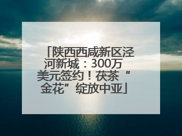 陕西西咸新区泾河新城：300万美元签约！茯茶“金花”绽放中亚
