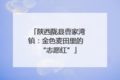陕西陇县曹家湾镇：金色麦田里的“志愿红”