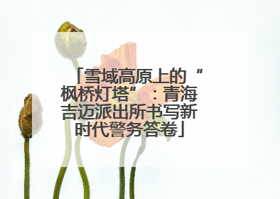 雪域高原上的“枫桥灯塔”：青海吉迈派出所书写新时代警务答卷