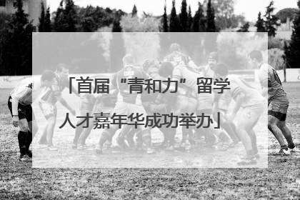 首届“青和力”留学人才嘉年华成功举办