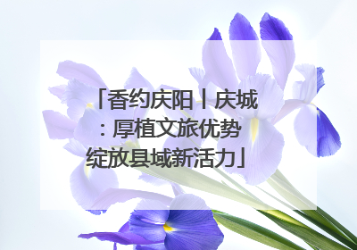 香约庆阳丨庆城：厚植文旅优势 绽放县域新活力