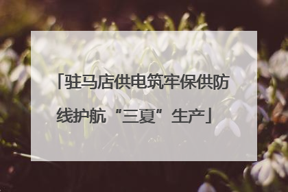 驻马店供电筑牢保供防线护航“三夏”生产