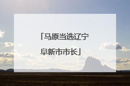 马原当选辽宁阜新市市长