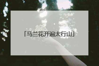 马兰花开遍太行山