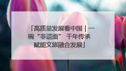 高质量发展看中国｜一碗“非遗面” 千年传承赋能文旅融合发展