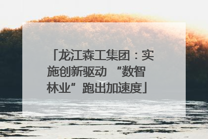 龙江森工集团：实施创新驱动 “数智林业”跑出加速度