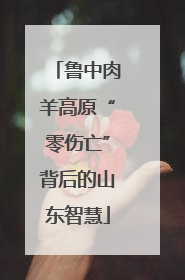 鲁中肉羊高原“零伤亡”背后的山东智慧