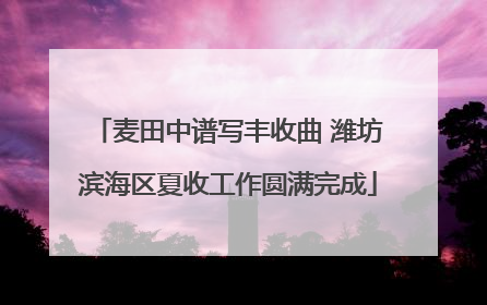 麦田中谱写丰收曲 潍坊滨海区夏收工作圆满完成
