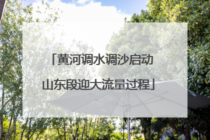 黄河调水调沙启动 山东段迎大流量过程