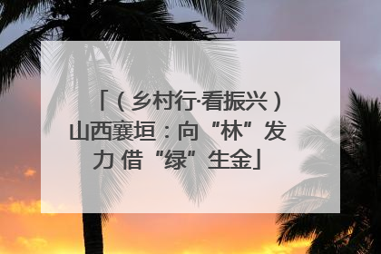 （乡村行·看振兴）山西襄垣：向“林”发力 借“绿”生金