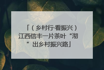 （乡村行·看振兴）江西信丰一片茶叶“沏”出乡村振兴路
