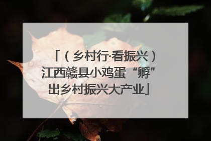 （乡村行·看振兴）江西赣县小鸡蛋“孵”出乡村振兴大产业