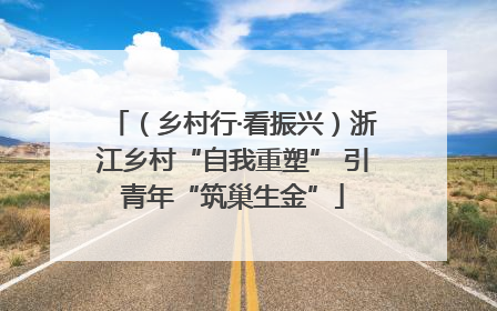 （乡村行·看振兴）浙江乡村“自我重塑” 引青年“筑巢生金”