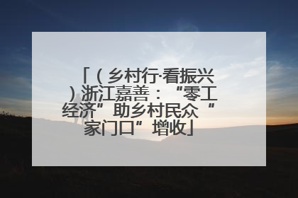 （乡村行·看振兴）浙江嘉善：“零工经济”助乡村民众“家门口”增收
