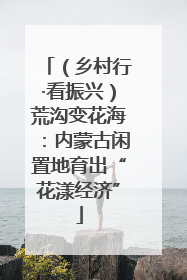 （乡村行·看振兴）荒沟变花海：内蒙古闲置地育出“花漾经济”