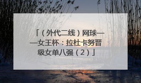 （外代二线）网球——女王杯：拉杜卡努晋级女单八强（2）