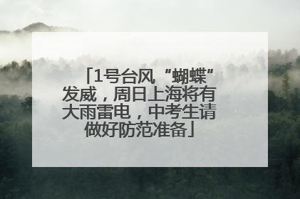 1号台风“蝴蝶”发威，周日上海将有大雨雷电，中考生请做好防范准备