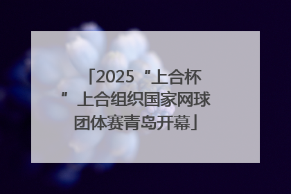 2025“上合杯”上合组织国家网球团体赛青岛开幕