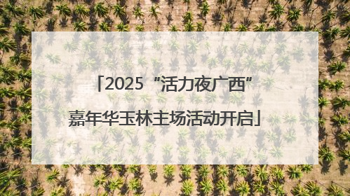 2025“活力夜广西”嘉年华玉林主场活动开启