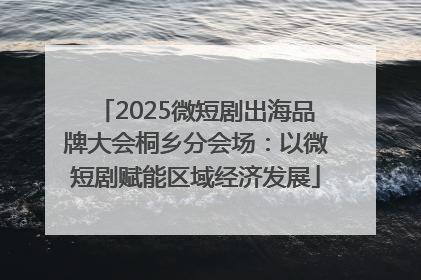 2025微短剧出海品牌大会桐乡分会场：以微短剧赋能区域经济发展