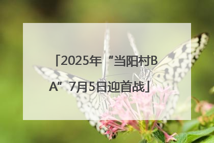 2025年“当阳村BA”7月5日迎首战