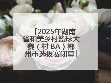 2025年湖南省和美乡村篮球大赛（村 BA）郴州市选拔赛闭幕