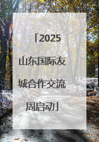 2025山东国际友城合作交流周启动