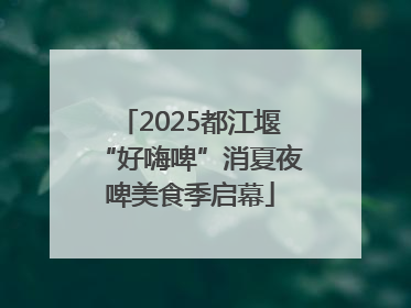 2025都江堰“好嗨啤”消夏夜啤美食季启幕