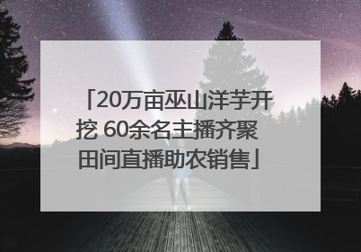 20万亩巫山洋芋开挖 60余名主播齐聚田间直播助农销售