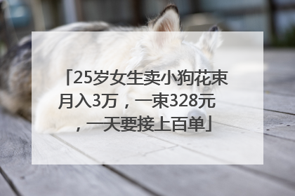 25岁女生卖小狗花束月入3万，一束328元，一天要接上百单