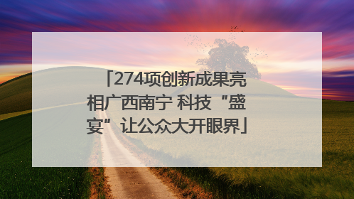 274项创新成果亮相广西南宁 科技“盛宴”让公众大开眼界