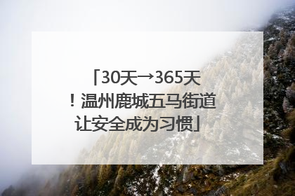 30天→365天！温州鹿城五马街道让安全成为习惯