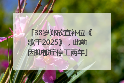 38岁郑欣宜补位《歌手2025》，此前因抑郁症停工两年