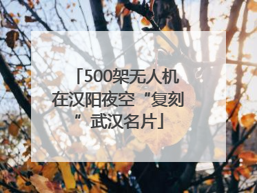 500架无人机在汉阳夜空“复刻”武汉名片
