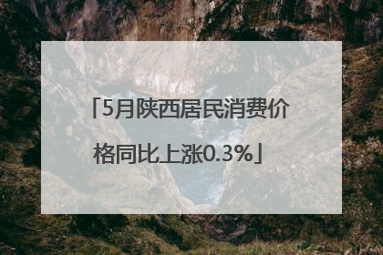 5月陕西居民消费价格同比上涨0.3%