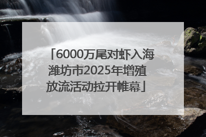 6000万尾对虾入海 潍坊市2025年增殖放流活动拉开帷幕