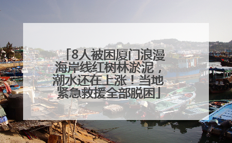 8人被困厦门浪漫海岸线红树林淤泥，潮水还在上涨！当地紧急救援全部脱困