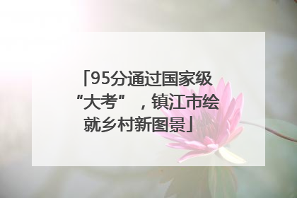 95分通过国家级“大考”，镇江市绘就乡村新图景